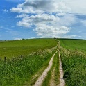 The South downs WAY  - Malcolm Oakley